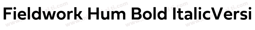 Fieldwork Hum Bold ItalicVersion 1字体转换